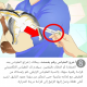 مقياس زئبقي لقياس درجة حرارة الحيوانات الاليفة مقياس زئبقي لقياس درجة حرارة الحيوانات الاليفة