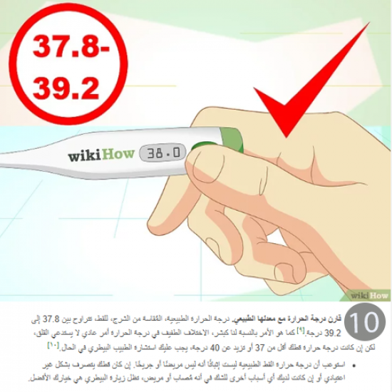 مقياس زئبقي لقياس درجة حرارة الحيوانات الاليفة مقياس زئبقي لقياس درجة حرارة الحيوانات الاليفة