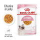 رويال كانين اكل طري للقطط 85 جم كيتن royal canin kitten gravy