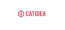 CATIDEA