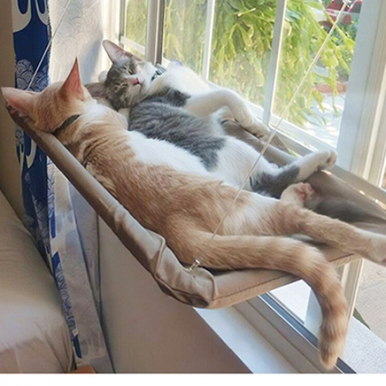 مقعد Cat Bed Sunny المعلق بالنافذة مقعد Cat Bed Sunny المعلق بالنافذة