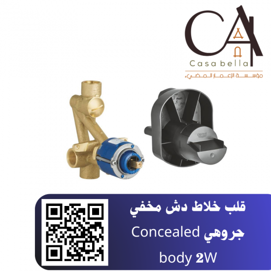 قلب خلاط دش مخفي جروهي Concealed body 2W