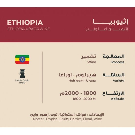 حبوب قهوة إثيوبيا اوراغا واين 250 ج
