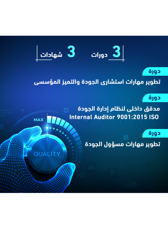 البرنامج الشامل في الجودة الشاملة والتميز المؤسسي البرنامج الشامل في الجودة الشاملة والتميز المؤسسي
