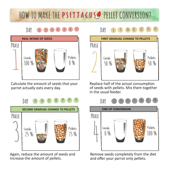 غذاء يومي لببغاء الكوكتيل كروان والصغيرة من سيتاكوس 450 جرام