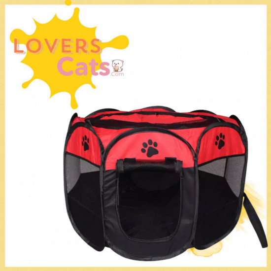 خيمة قطط وسط  تصميم لطيف