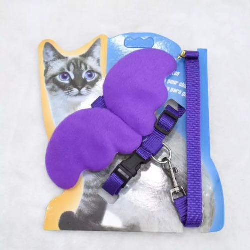 صدارية الأجنحة مع ليش