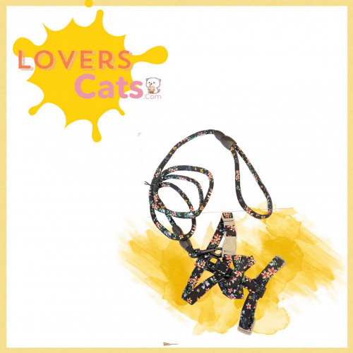 صدارية مع ليش