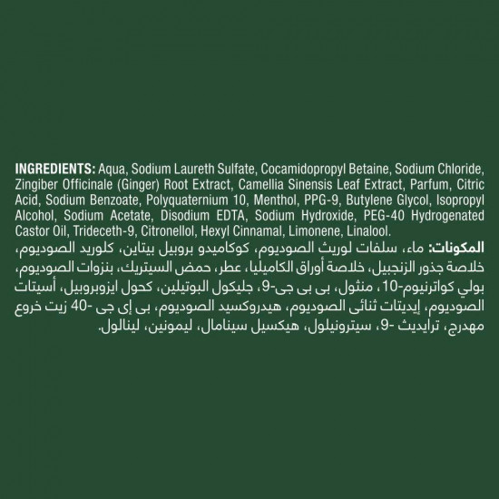 تريسيمي شامبو بالشاي الأخضر والزنجبيل 400 مل تريسيمي شامبو بالشاي الأخضر والزنجبيل 400 مل