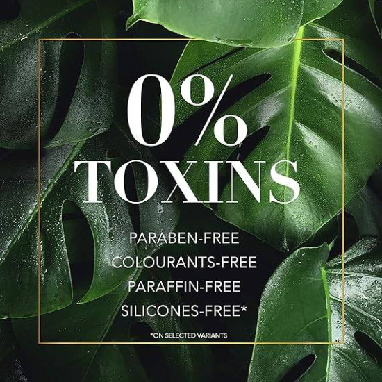 شامبو هيربال ايسنز فواكه قهوة أرابيكا رينيو فوليوم 400 مل