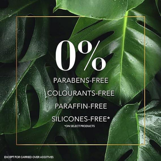 شامبو هيربال ايسنز شعر بزيت الارجان المغربي لتجديد واصلاح الشعر 400 مل