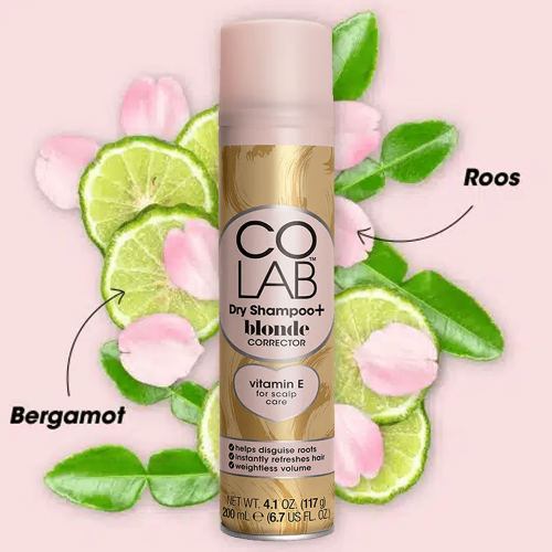 شامبو جاف بلوند كوريكتور للشعر من كولاب - 200 مل