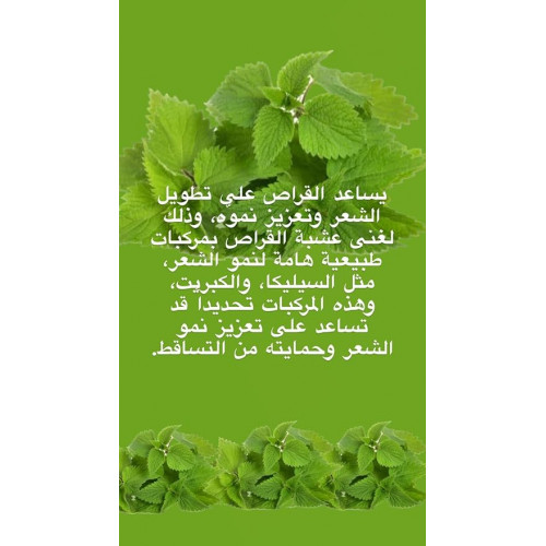 بايوبلاس شامبو زيت نبات القراص لجميع انواع الشعر 400مل