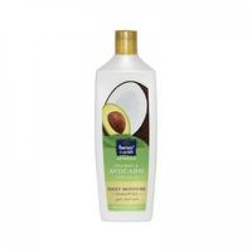 باراشوت الترطيب اليومي بخلاصة جوز الهند والأفوكادو - 340 مل