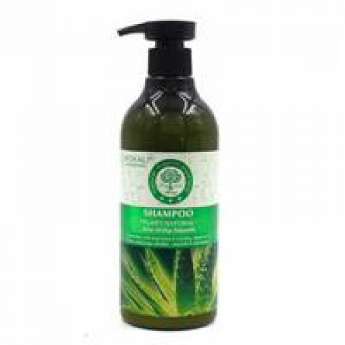 شامبو شعر بالكرياتين و الصبار من وكالي - 900 مل