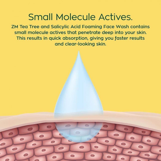 زين و ميزا غسول رغوي بحمض الساليسيليك وزيت شجرة الشاي - 100 مل زين و ميزا غسول رغوي بحمض الساليسيليك وزيت شجرة الشاي - 100 مل