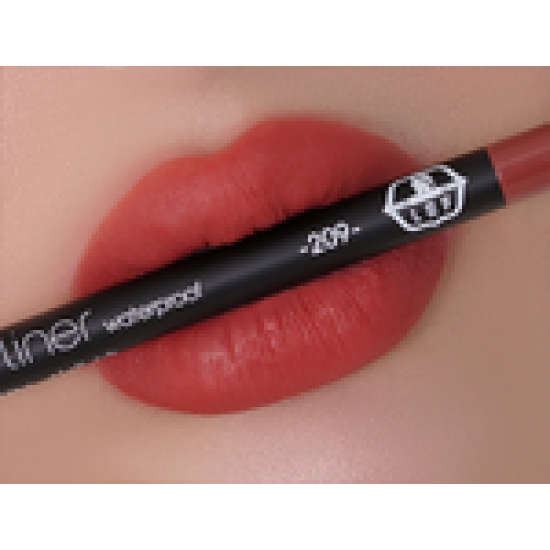 قلم تحديد الشفاه | 209