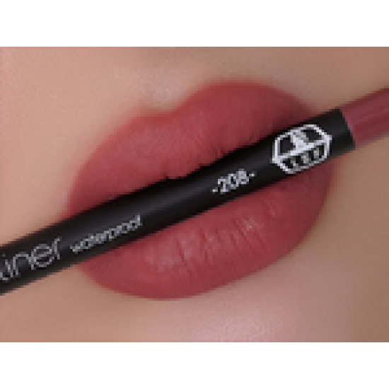 قلم تحديد الشفاه | 208  