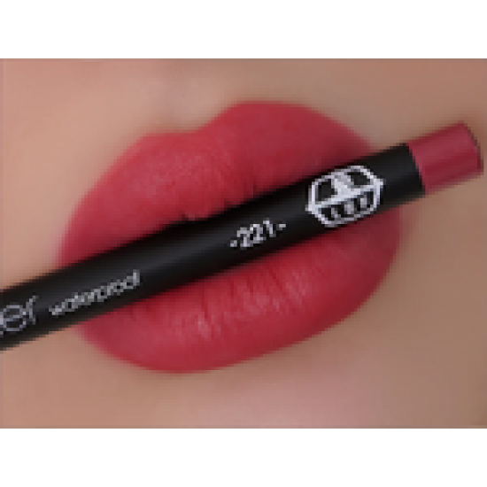 قلم تحديد الشفاه | 221