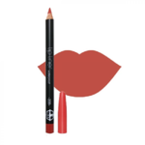 قلم تحديد الشفاه | 200