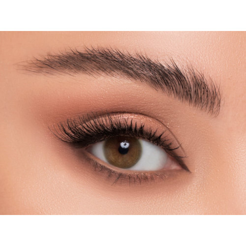 عدسات ليندا أمبر