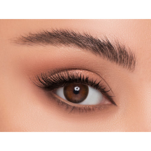 عدسات ليندا تان