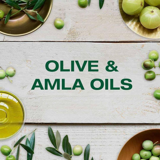 غارنييه شامبو فائق التغذية بالزيتون الأسطوري - 200 مل