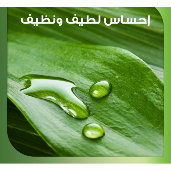 سنسوداين نورش ملطف بعناية معجون أسنان مع مستخلص النعناع الطبيعي والصبار - 75 مل سنسوداين نورش ملطف بعناية معجون أسنان مع مستخلص النعناع الطبيعي والصبار - 75 مل