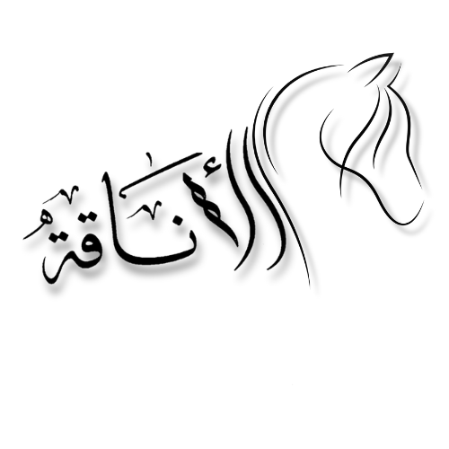 الأناقة