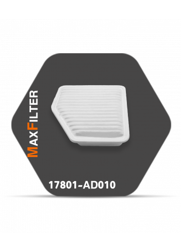 فلتر هواء  AD010-17801