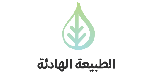    مؤسسة الدعم الرائع للتجارة