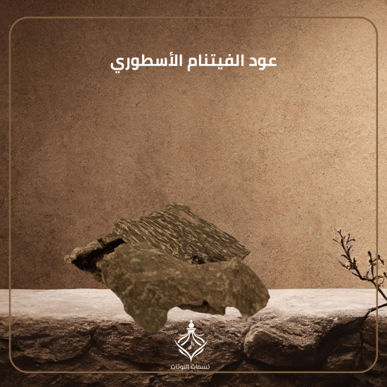 عود الفيتنام الأسطوري عود الفيتنام الأسطوري