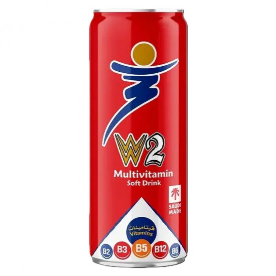  دبليوا 2 مشروب طاقة 250مل *6 حبة (نصف درزن)