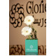 gloriesa box 2