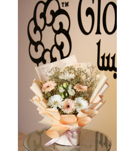 الجلبيرا الناعمه