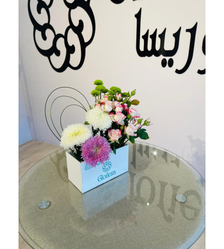 بوكس غلوريسا  بتصميم العيد 