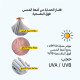 قفاز اليدين قفاز اليدين