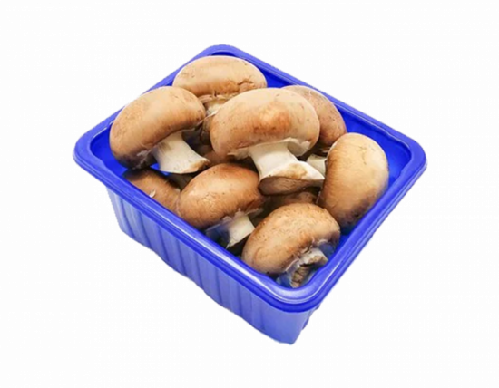 مشروم بني (علبة)