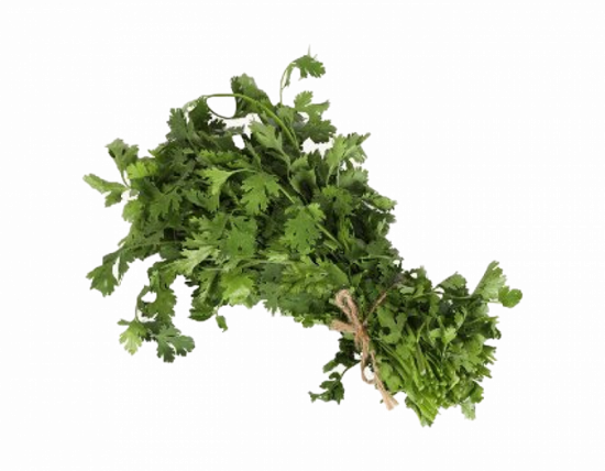 كزبرة طازجة