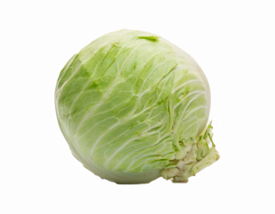 ملفوف ابيض