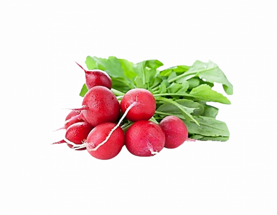 فجل أحمر