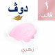 دوف صابونه وردى 75 جم