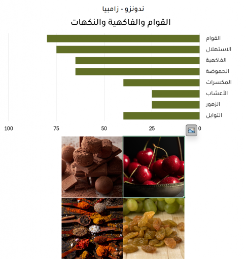 ندونزو - زامبيا
