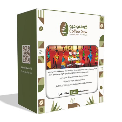ندونزو - زامبيا