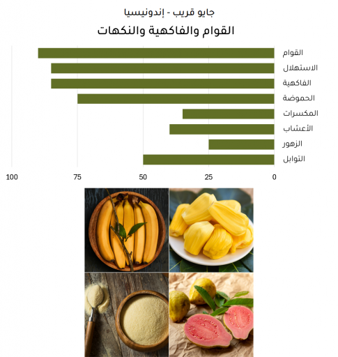 جايو قريب - إندونيسيا