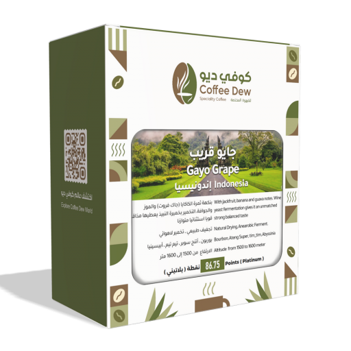 جايو قريب - إندونيسيا