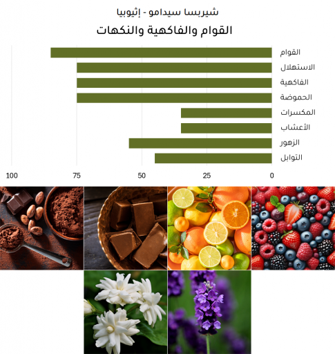 شيربسا سيدامو - إثيوبيا