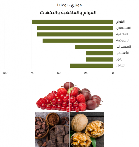 مويزي - أوغندا