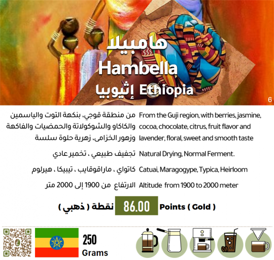 هامبيلا - إثيوبيا