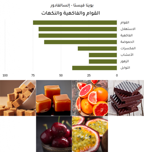 بوينا فيستا - إلسالفادور
